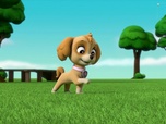 Replay Paw Patrol, la Pat'Patrouille - Le robot-serveur détraqué