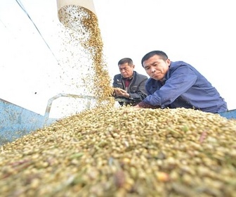 Replay Le retour des ambitions de la Chine - Le soja, arme de la Chine face à Donald Trump