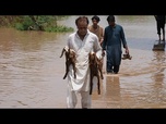 Replay Des équipes de secours évacuent des villages inondés à Sheikhupura, au Pakistan