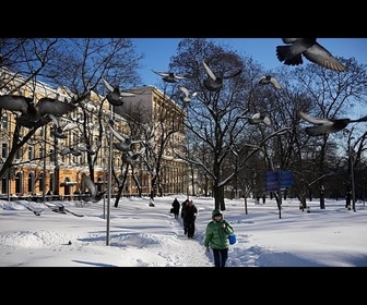 Replay Chutes de neige record depuis 200 ans recouvrent Moscou, la vie quotidienne perturbée