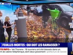 Replay Qui doit ramasser les feuilles mortes et qui est responsable? BFMTV répond à vos questions