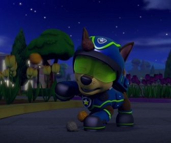 Replay Paw Patrol, la Pat'Patrouille - Les tulipes