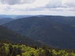 Replay Invitation au voyage - 24/02/2025 - Les Vosges, territoire poétique de Claudie Hunzinger