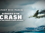 Replay AF447 Rio/Paris : scénario d'un crash et d'une enquête hors normes