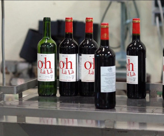 Replay Focus - Changer pour continuer d'exister : les vins de Bordeaux ne font plus recette