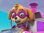 Replay Paw Patrol, la Pat'Patrouille - Le Hippo Rodéo de Danny