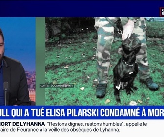 Replay Marschall Truchot : le pitbull qui tué Elisa Pilarski condamné à mort - 11/06