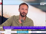Replay Estelle Midi - Canicules, inondations, incendies : seriez-vous prêts à changer de région ?