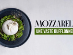 Replay Mozzarella, une vaste bufflonnerie ?