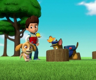 Replay Paw Patrol, la Pat'Patrouille - Le bébé pingouin