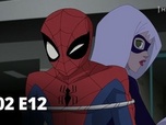 Replay The Spectacular Spider-Man - Spectacular spider-man - S02 E12 - Coup de théâtre