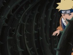 Replay Naruto - S7 E22 - Creuse, baisse-toi et trouve le trésor !