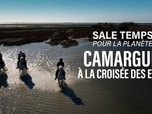 Replay Sale temps pour la planète - Camargue, à la croisée des eaux