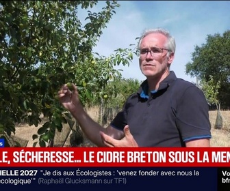 Replay BFM Première prématinale - Focus Régions - 24/08