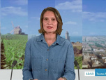 Replay ICI 12/13 édition toutes régions - Émission du lundi 22 septembre 2025
