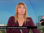 Replay Le JT en LSF - 17/12/2025