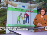 Replay Élément Terre, la quotidienne - Ebola: Une zoonose de l'Afrique des Grands Lacs encore mal connue