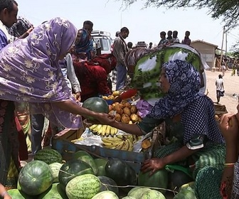 Replay ONU : l'Afrique et le Proche-Orient touchés par la faim