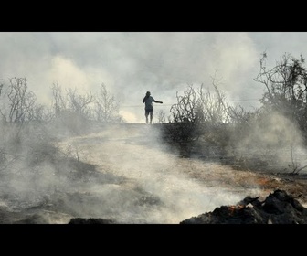 Replay Incendie dévastateur à Chypre : deux corps carbonisés retrouvés dans une voiture