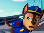 Replay S00 E74 - Compilation Paw Patrol, la Pat'Patrouille 74