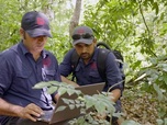 Replay Vivre avec les tigres du Bengale - Corridors sauvages