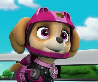 Replay Paw Patrol, la Pat'Patrouille - La Moto Patrouille : La spirale rocheuse