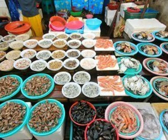 Replay Corée du Sud, leçons de gastronomie