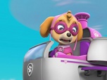 Replay Paw Patrol, la Pat'Patrouille - Le feu d'artifice