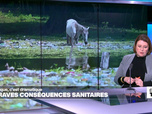 Replay Élément Terre, la quotidienne - Le plastique nous vole des années de vie (étude)