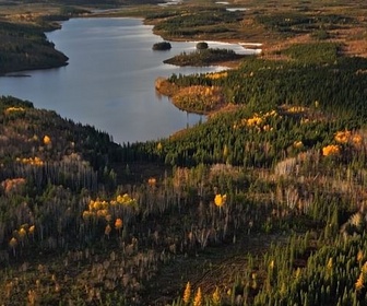 Replay Canada, la force de la nature