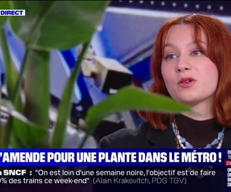 Replay BFM Story - Salomé Ferraris (journaliste Tech&Co, sanctionnée pour avoir transporté une plante dans le métro): 150 euros, c'est le plus gros montant, c'est aussi grave qu'uriner dans le métro