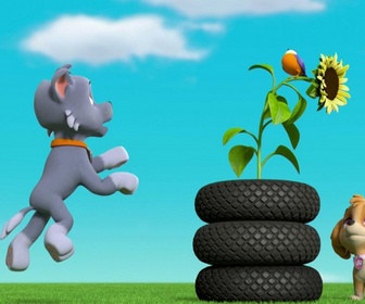 Replay Paw Patrol, la Pat'Patrouille - Le miel a disparu !