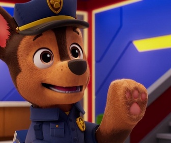 Replay Paw Patrol, la Pat'Patrouille - Mission Détectives : A la recherche de Ryder