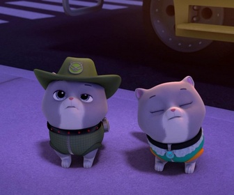 Replay Paw Patrol, la Pat'Patrouille - Sauvetage Extrême : Les petits chats du roi ont disparu