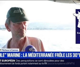 Replay BFM Première - Canicule marine: la mer Méditerranée frôle les 30 degrés, du jamais vu
