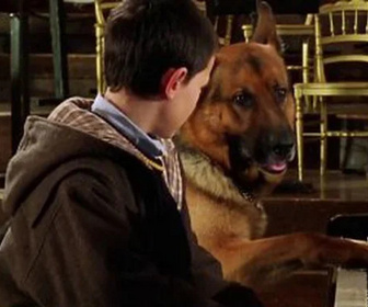 Replay Rex, chien flic - Pour quelques notes de musique