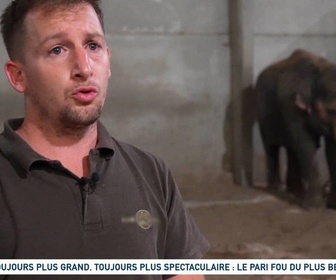 Replay Un jour, un doc - Toujours plus grand, toujours plus spectaculaire : le pari fou du plus beau zoo d'Europe (2/2)