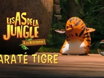 Replay Les as de la jungle à la rescousse - S3 E35 - Karaté Tigre 1