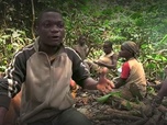 Replay ARTE Reportage - Cameroun : la terreur verte
