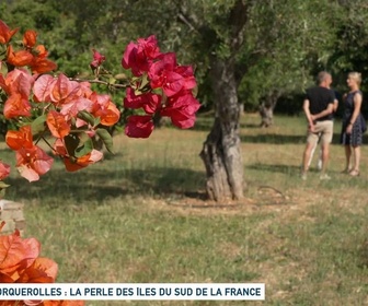 Replay Un jour, un doc - Porquerolles : la perle des îles du sud de la France