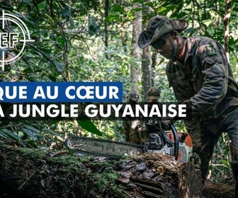 Replay Le journal de la Défense - Traque au coeur de la jungle guyanaise