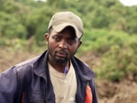 Replay Terres d'urgence - Congo : menace sur la forêt tropicale