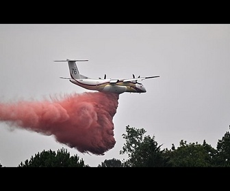 Replay L'Union européenne au défi des incendies de forêt de plus en plus violents