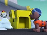 Replay Paw Patrol, la Pat'Patrouille - La Pat'patrouille sauve les cerfs