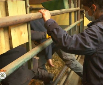 Replay Une saison au zoo - S13 E41