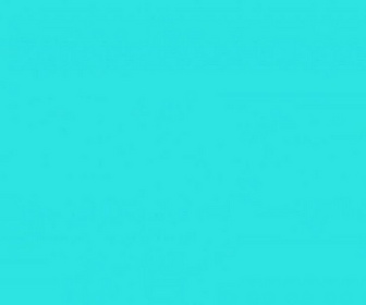 Replay Zig et Sharko - L'île au trésor