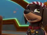 Replay Paw Patrol, la Pat'Patrouille - Le trésor d'Oncle Otis