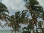 Replay Les docs du week-end - L'incroyable succès des vacances all inclusive