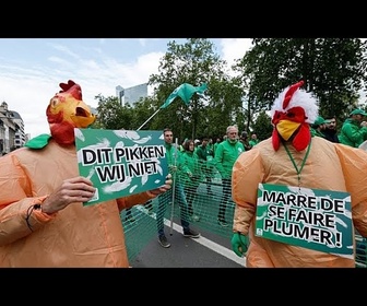 Replay Des dizaines de milliers de manifestants défilent à Bruxelles lors de la grève nationale en Belgique