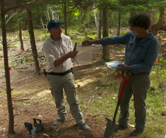 Replay Le mystère d'Oak Island : la course au trésor - S8E17 - Restons calmes